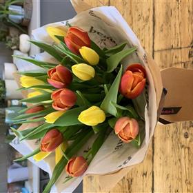 fwthumbEaster Tulips.jpg
